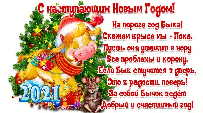 С наступающим Новым годом 2024🎄Пожелания на Новый год от души #снасту... |  TikTok