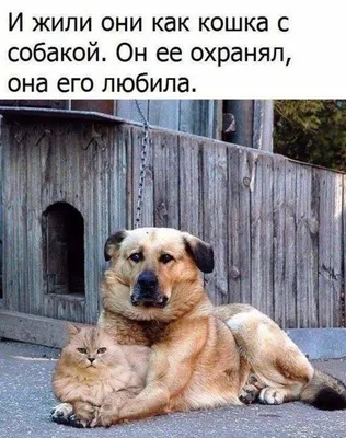 Мудрые мысли в картинках - 68 фото