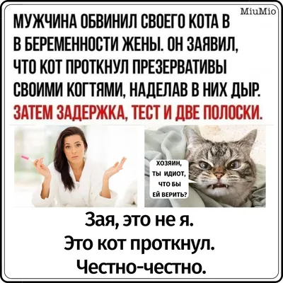 рубрика «мысли великих» (верхние картинки взяты из группы вк «мам ну не  читай») | Instagram