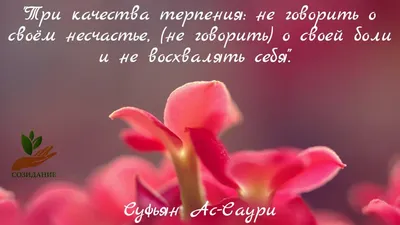 Веселые мысли в картинках для хорошего настроения на весь день! |  Якутяночка | Дзен