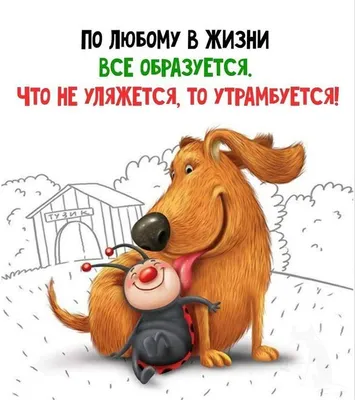 Умные мысли :: Дружочек – Социальная сеть ФотоКто