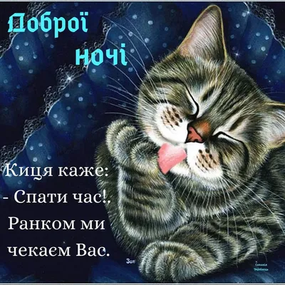Доброї, мирної ночі Україно!#доброїночібажаю🕊️ #надобраніч_солодких_і... |  TikTok