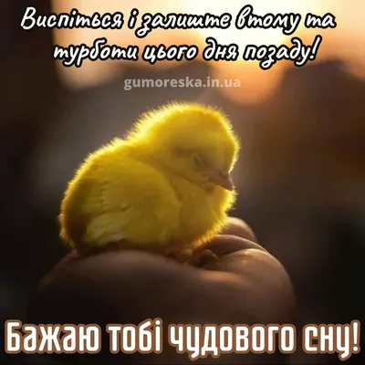 мирноїночі #добраніч #вітальнілистівки #листівкиукраїна #листівкищодн... |  TikTok