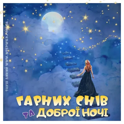 На добраніч картинки: прикольні, красиві, для чоловіків і жінок