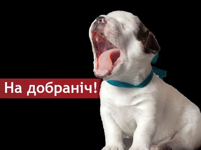 тихоїночі🌠🙏🌙 #побажання #українськамузика #💙💛🙏🙏🙏🇺🇦 | TikTok