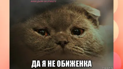 933c0404238fa6b5c226fddbc03fe404.jpg