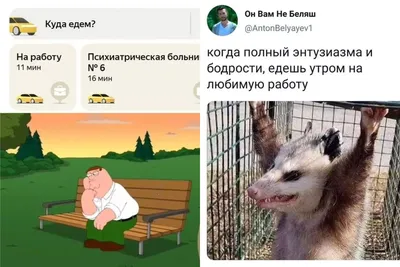 Прикольная табличка на стену Я не могу за тебя понять, прикол для декора  офиса, работы, дома, металл, 20х30 см., 20 см, 30 см - купить в  интернет-магазине OZON по выгодной цене (537668804)