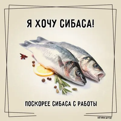 БЫВАЕТ СИДИШЬ НА РАБОТЕ И ДУМАЕШЬ: ГДЕ ЖЕ ДЕНЕГ ЗАРАБОТАТЬ?! / приколы про  деньги :: работа / смешные картинки и другие приколы: комиксы, гиф  анимация, видео, лучший интеллектуальный юмор.