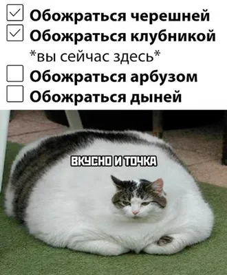 Смешные приколы про работу | Глеб Сэвен | Дзен