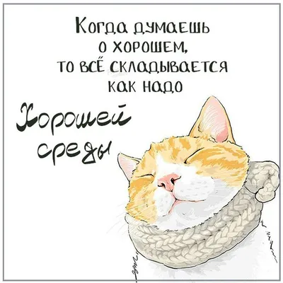 Прикольные картинки про работу и отдых - 59 фото