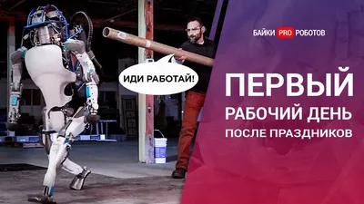 Новогодний кутеж