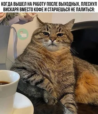 Режим работы в начале нового года