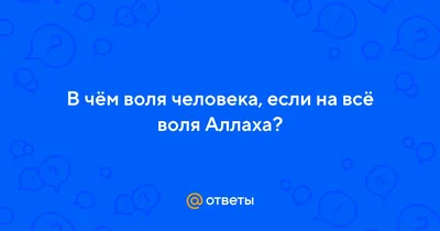 Фото 856471680606 в личном альбоме Все по воле Аллахи в ОК
