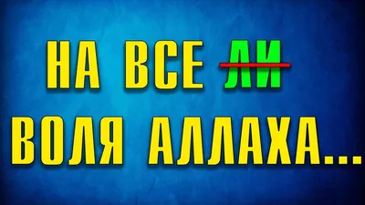 Все предопр... | TikTok