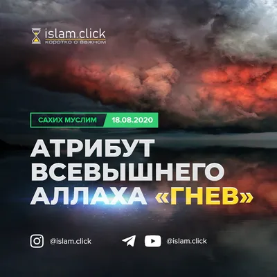 Во Франции убили чеченского блогера, который критиковал Кадырова. На все  воля Аллаха?» — Яндекс Кью