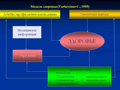 Корень Сибирское здоровье / Бальзам широкого спектра действия / Корень  зеленый купить в Москве в одном из наших магазинов или с бесплатной  доставкой по Москве в интернет-магазине по низкой цене. Рецепты, применение,