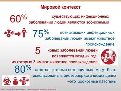 ЗОЖ – здоровье или вред? | Киевский Центр КПТ