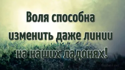 Картинки со смыслом (303 шт.)