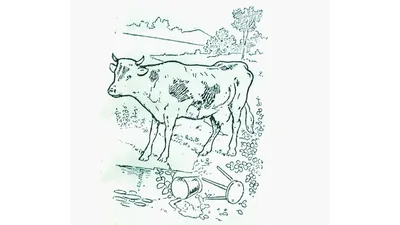 Специальная летняя головоломка: найди ма-а-аленькую змею на этой картинке |  MAXIM