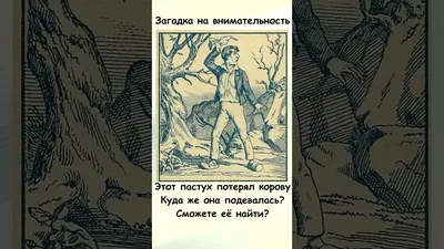 Мини-музей «Буренушка». Дидактические игры по теме (3 фото). Воспитателям  детских садов, школьным учителям и педагогам - Маам.ру