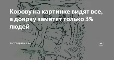 Искалки раскраски - 80 фото