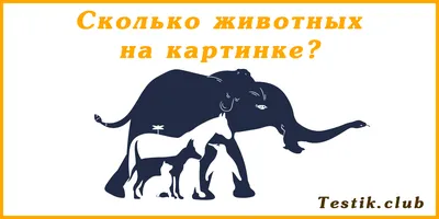 Этот тест на внимательность пройдут не все. Найдите на картинке автомобиль  - Telegraf.news