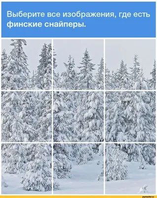 Найди снайпера! | Пикабу