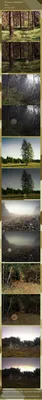 Найди снайпера на фото: Необычный проект немецкого фотографа | Weapon Power  | Дзен
