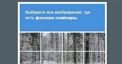 Коля Остенбакен (кремлёвский темник) on X: \"Найди на картинке финского  снайпера\" / X