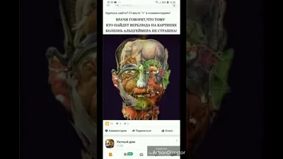 KIA-CLUB.RU© • Клуб владельцев корейских автомобилей • Просмотр темы -  Тест. Найди верблюда