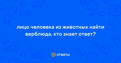 https://www.instagram.com/surgut__86/p/CE_Q2JNjORu/