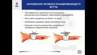 наложение видеокамеры иллюстрация вектора. иллюстрации насчитывающей пленка  - 217120785