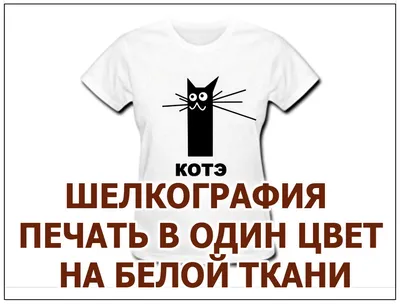 Флексопечать на футболках. Услуги нанесения флекса на ткань в Москве
