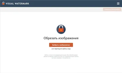 Обрезать фото онлайн. Бесплатное приложение | Visual Watermark