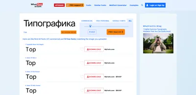 Нейросеть генерирует картинки онлайн: топ-10 онлайн сервисов генерации  изображений