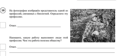Подсчет Игры Для Детей Дошкольного Возраста Подсчитайте Цифры На Картинке И  Напишите Результат — стоковая векторная графика и другие изображения на  тему Алгебра - iStock
