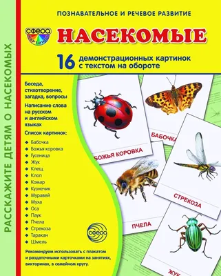 Обучающие карточки «Изучаем английский. Насекомые», 16 штук, 3+ (1262692) -  Купить по цене от 22.40 руб. | Интернет магазин SIMA-LAND.RU
