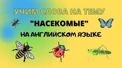 Купить Демонстрационные картинки. Насекомые. 16 демонстрационных картинок с  текстом. 174х220 мм (7124500) в Крыму, цены, отзывы, характеристики |  Микролайн