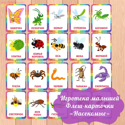 Маленькие исследователи. Насекомые купить книгу с доставкой по цене 1287  руб. в интернет магазине | Издательство Clever