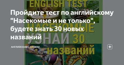 Обучающие карточки \"Изучаем английский. Насекомые\" купить по цене 69 ₽ в  интернет-магазине KazanExpress