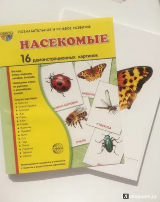 ТЦ СФЕРА Дем. картинки СУПЕР Насекомые. 16 демонстр. картинок с текст