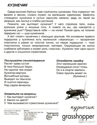 Pin on Именные насекомые ...
