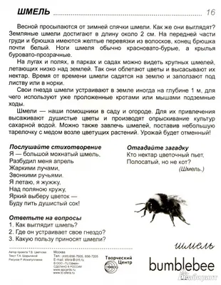 Насекомые: 12 развивающих карточек с красочными картинками, стихами и  загадками для занятий с детьми – купить по цене: 67,50 руб. в  интернет-магазине УчМаг