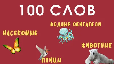 Обучающие карточки «Изучаем английский. Насекомые», 16 штук, 3+ (1262692) -  Купить по цене от 22.40 руб. | Интернет магазин SIMA-LAND.RU