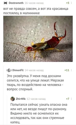Собери радугу. Набор из 7 книг на английском языке. Artbooks - Карточки  Домана