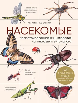 Методическое пособие \"Насекомые 1\" (дидактический материал) СФ-НД-33 в  Москве|CLEVER-TOY.RU