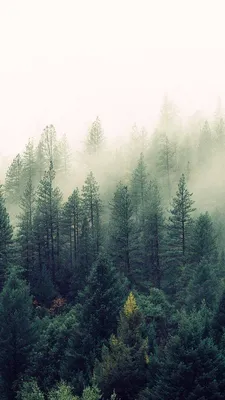 BEST iPhone Wallpapers HD - High-Quality iPhone Backgrounds for FREE HD  Download