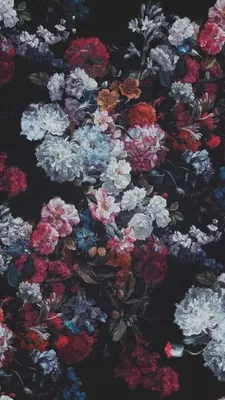 28 Best HD Wallpapers for iPhone 6s/6/5s/5 Devices
