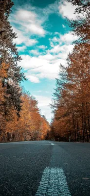 28 Best HD Wallpapers for iPhone 6s/6/5s/5 Devices