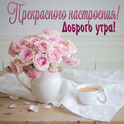 Красивые картинки \"Доброе утро!\" (300 шт.) » Юмор, позитив и много смешных  картинок